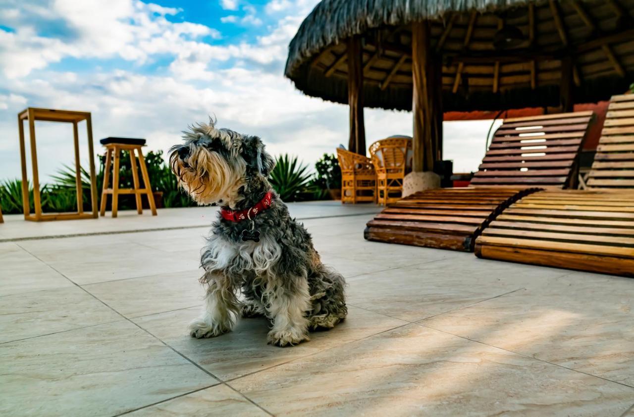 Hotel Boutique Playa Canela Ecuador Salinas  Eksteriør billede